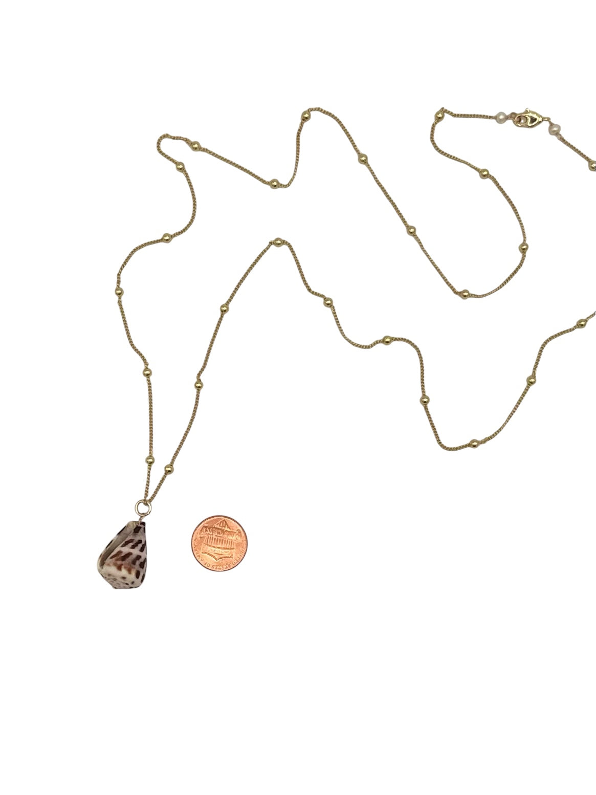 Long Natural Cone Shell Necklace