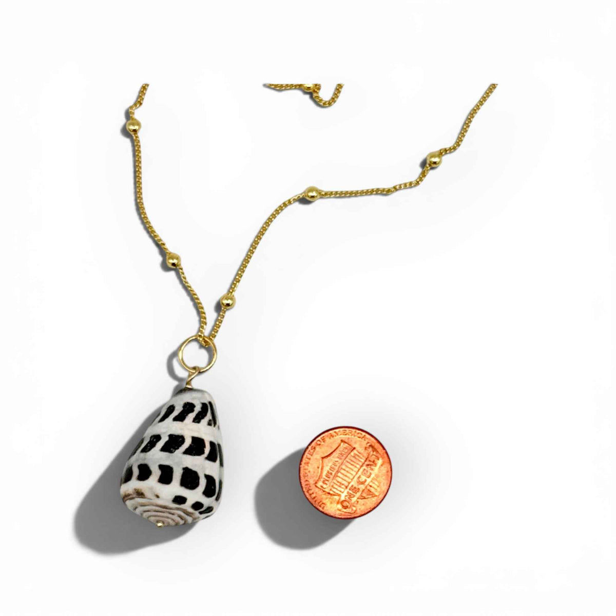 Natural Cone Shell Necklace – 25” Long Satellite Chain, Coastal Beach Jewelry by Flying Lizard Design