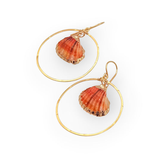 Gold Hoop Earrings with Orange Pectin Shell Charms