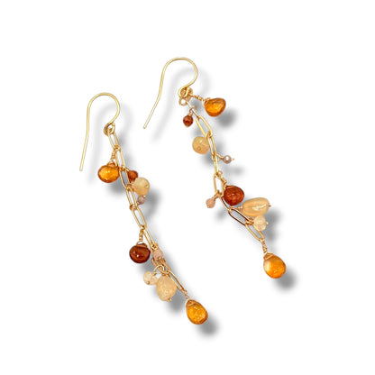 Precious Gem Dangle Earrings