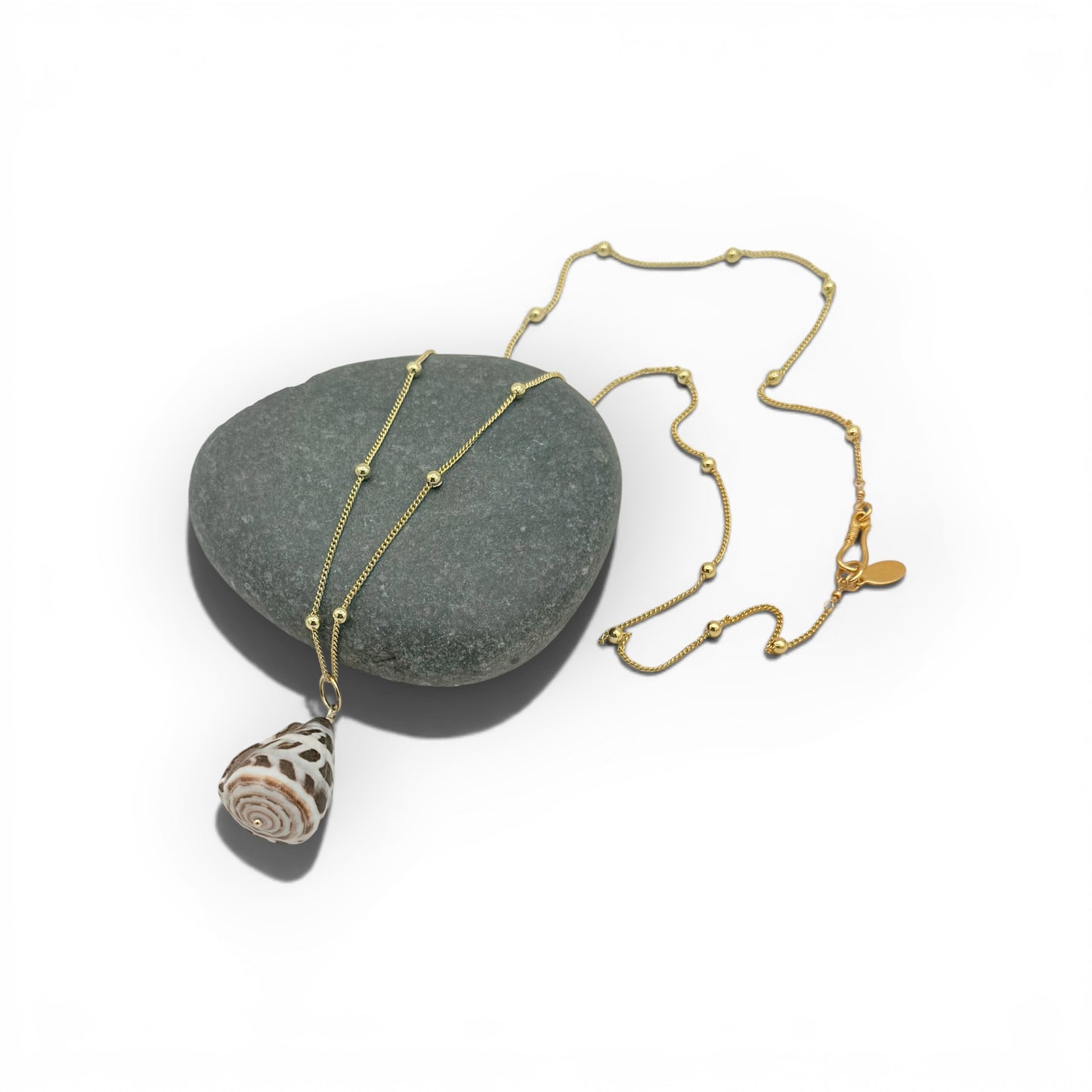 Natural Cone Shell Necklace – 25” Long Satellite Chain, Coastal Beach Jewelry by Flying Lizard Design