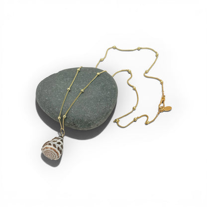 Natural Cone Shell Necklace – 25” Long Satellite Chain, Coastal Beach Jewelry by Flying Lizard Design