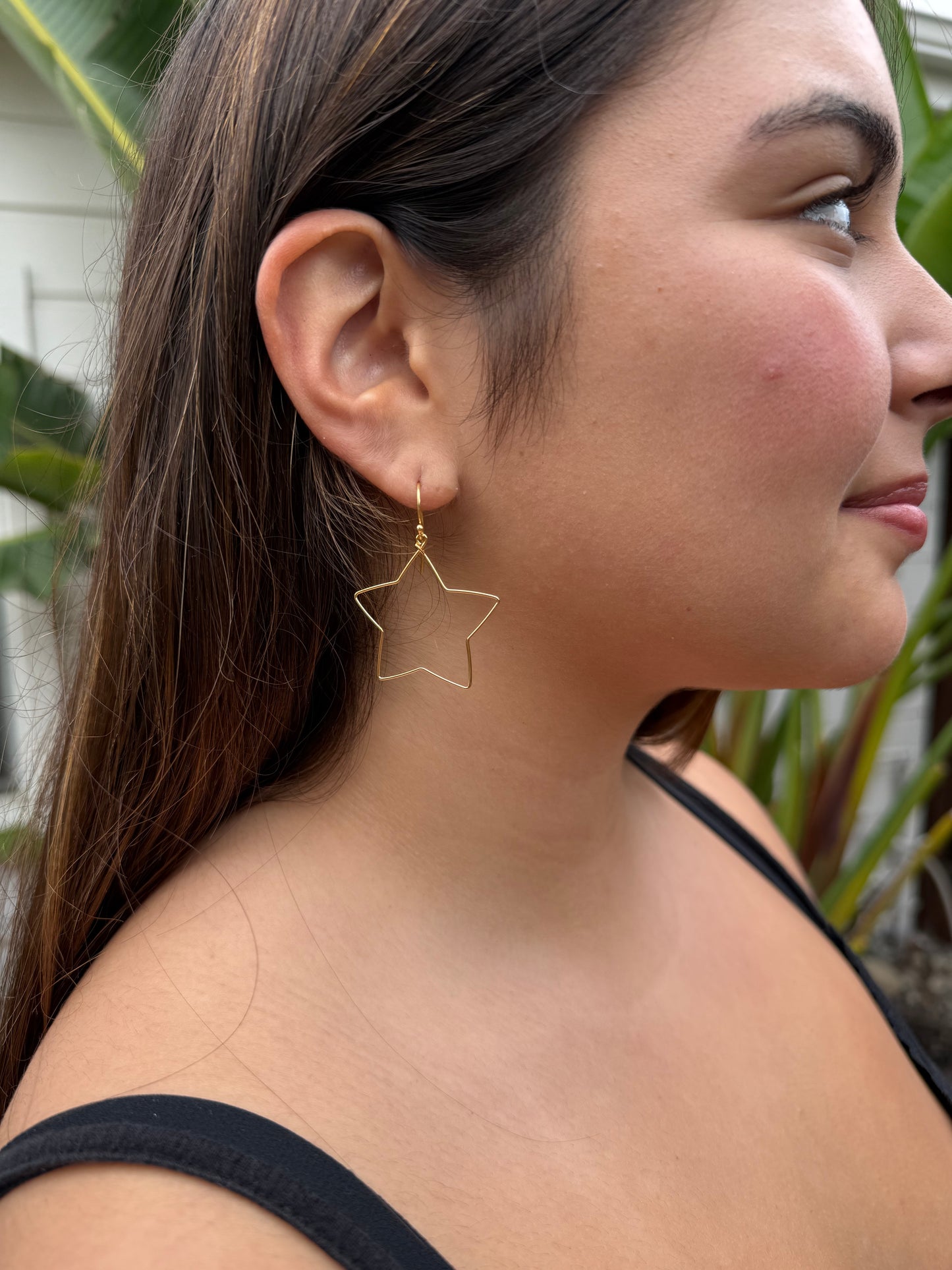 Star & Moon Earrings