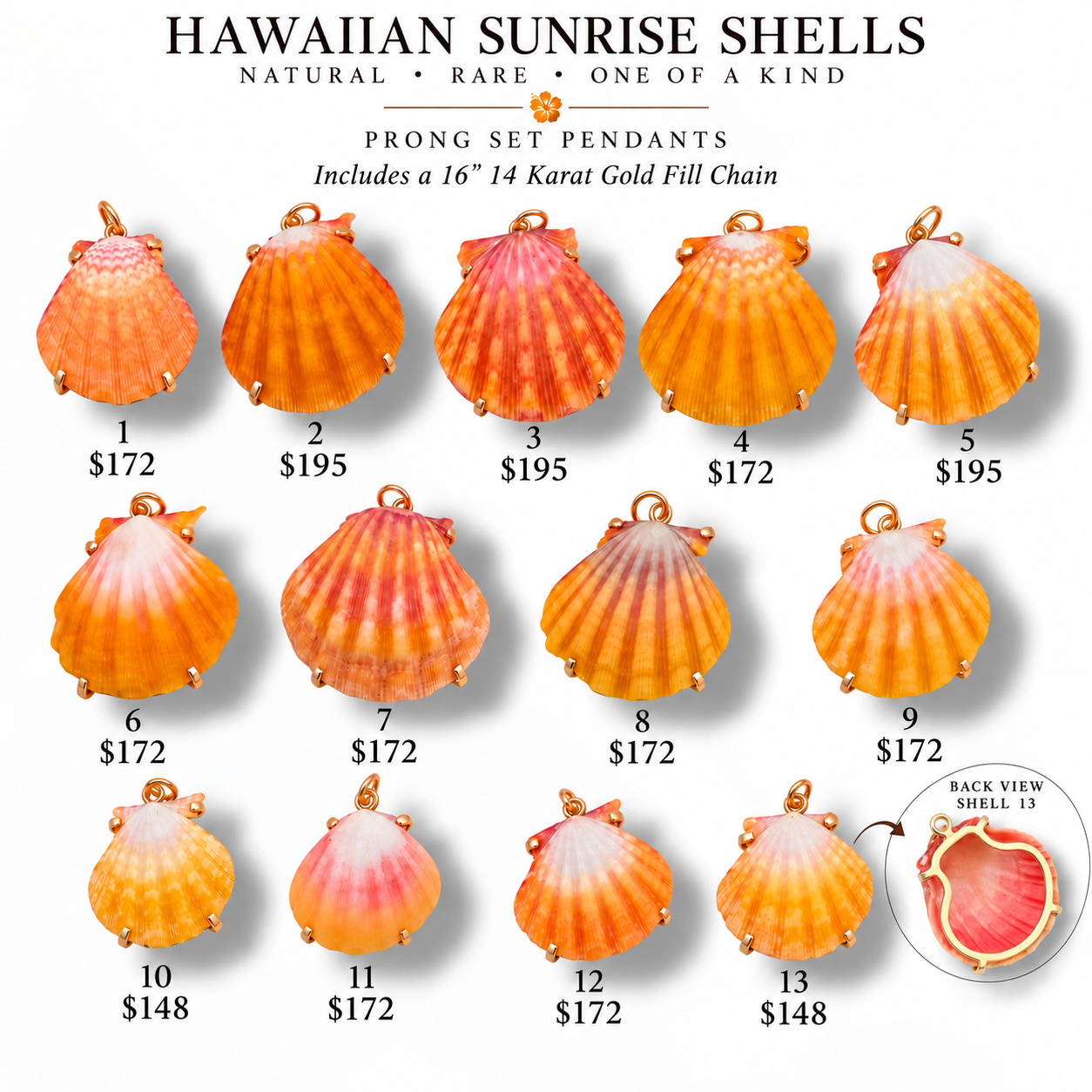 Hawaiian Sunrise Shell Necklace – Natural One-of-a-Kind Prong Set Pendant with 14K Gold-Filled Chain