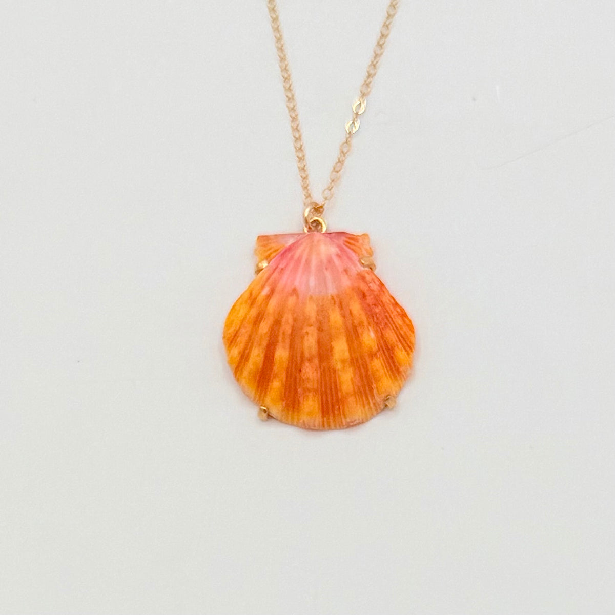 Sunrise Glow – AAA Hawaiian Sunrise Shells 14K Gold Filled