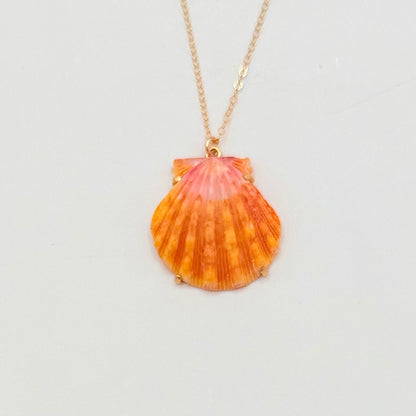 Sunrise Glow – AAA Hawaiian Sunrise Shells 14K Gold Filled