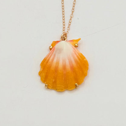Sunrise Glow – AAA Hawaiian Sunrise Shells 14K Gold Filled