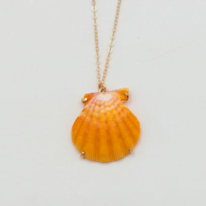 Sunrise Glow – AAA Hawaiian Sunrise Shells 14K Gold Filled