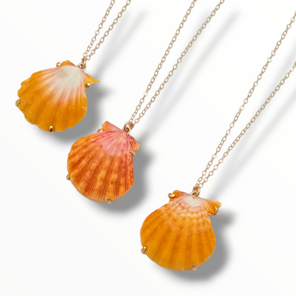 Sunrise Glow – AAA Hawaiian Sunrise Shells 14K Gold Filled