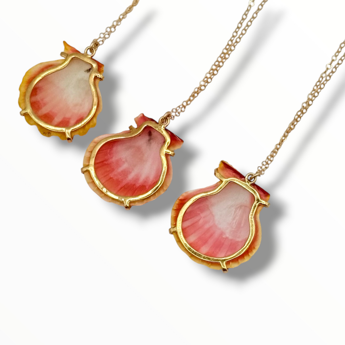 Sunrise Glow – AAA Hawaiian Sunrise Shells 14K Gold Filled