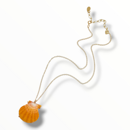 Sunrise Glow – AAA Hawaiian Sunrise Shells 14K Gold Filled