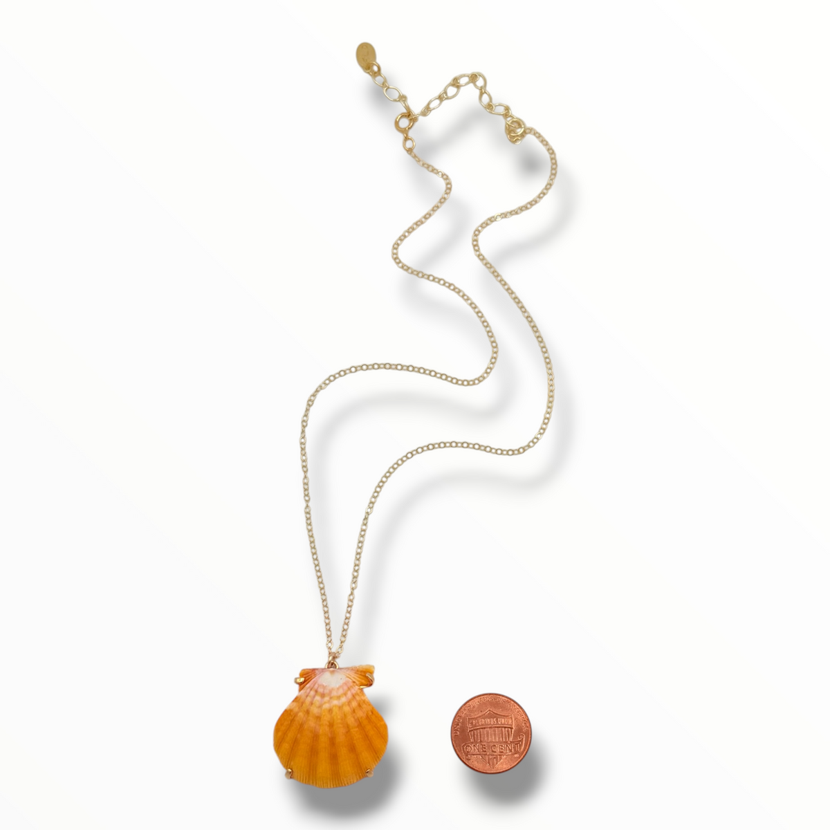 Sunrise Glow – AAA Hawaiian Sunrise Shells 14K Gold Filled
