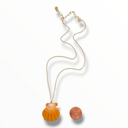 Sunrise Glow – AAA Hawaiian Sunrise Shells 14K Gold Filled
